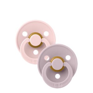 Bibs Colour Pacifier Blossom/Dusky Lilac 0-6M x2